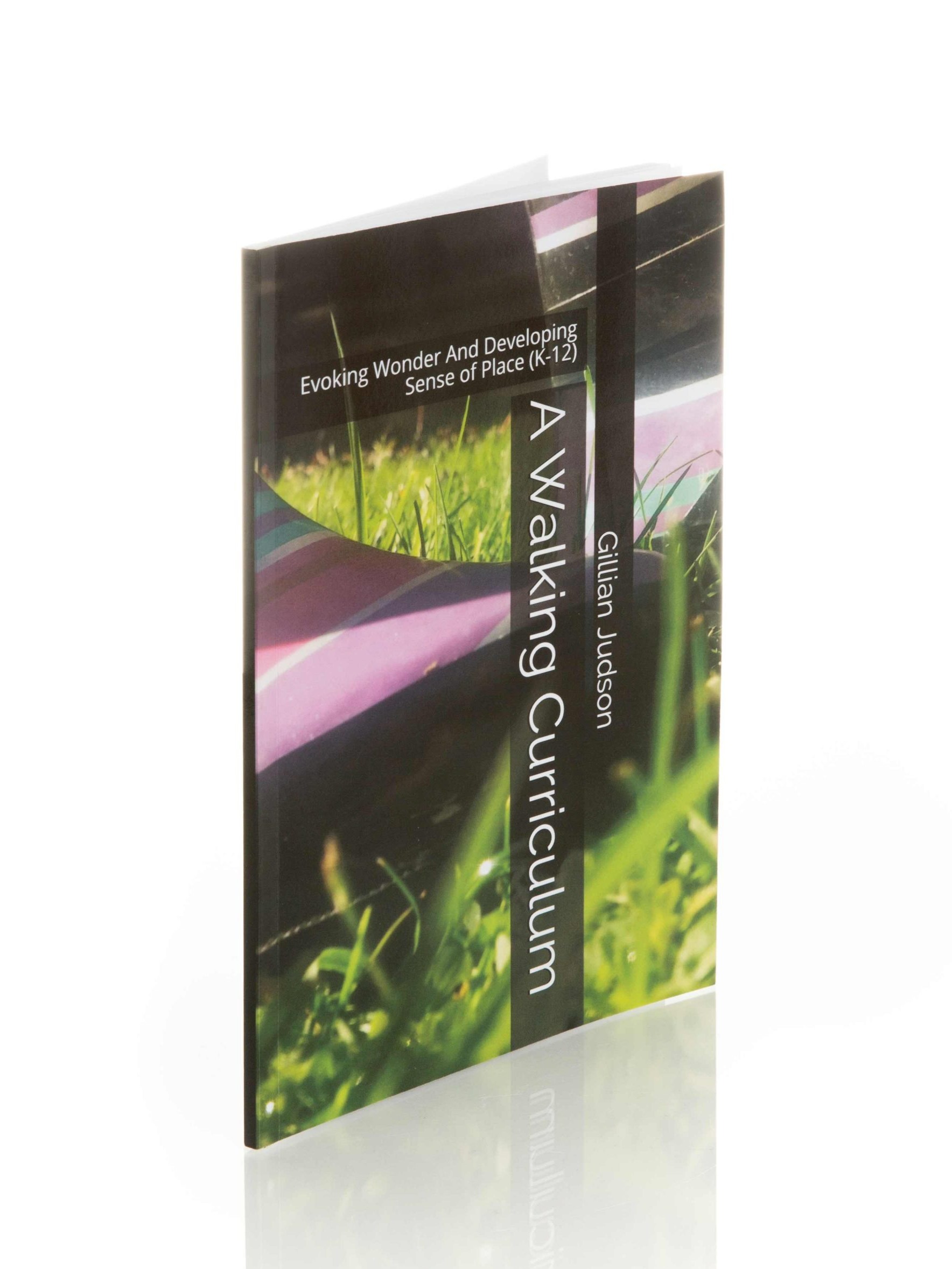 A Walking Curriculum Book Cover