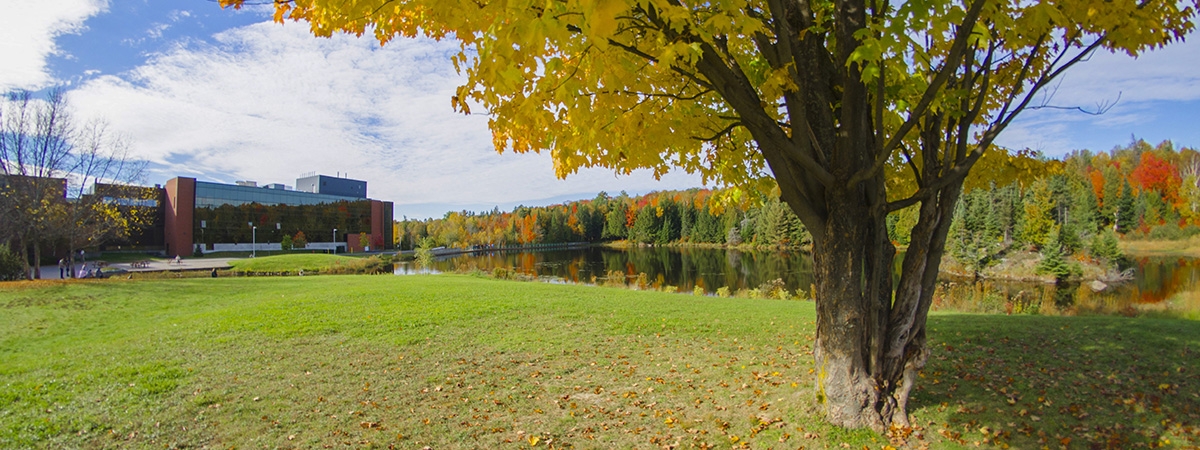 Fall colours on campus
