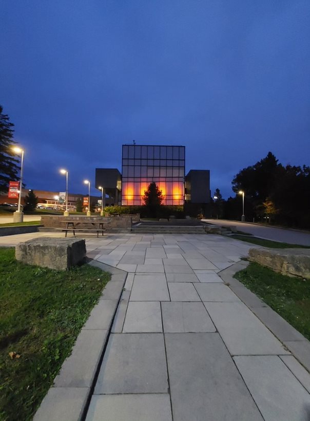 Library at night
