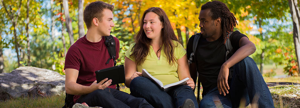 build your knowledge with a balanced combination of theory and practice