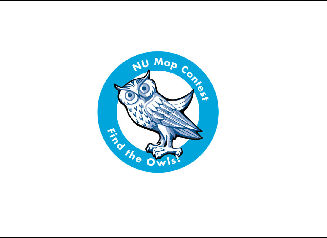 Find the Owl contest image