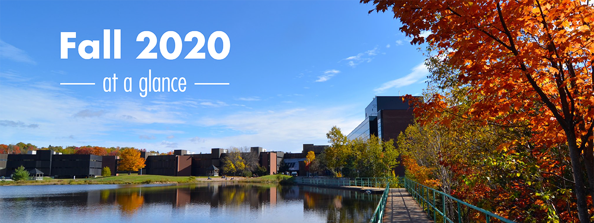 Fall 2020 At A Glance