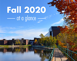 Fall 2020 at a Glance