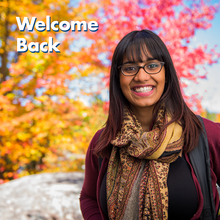 Fall 2020 at a Glance