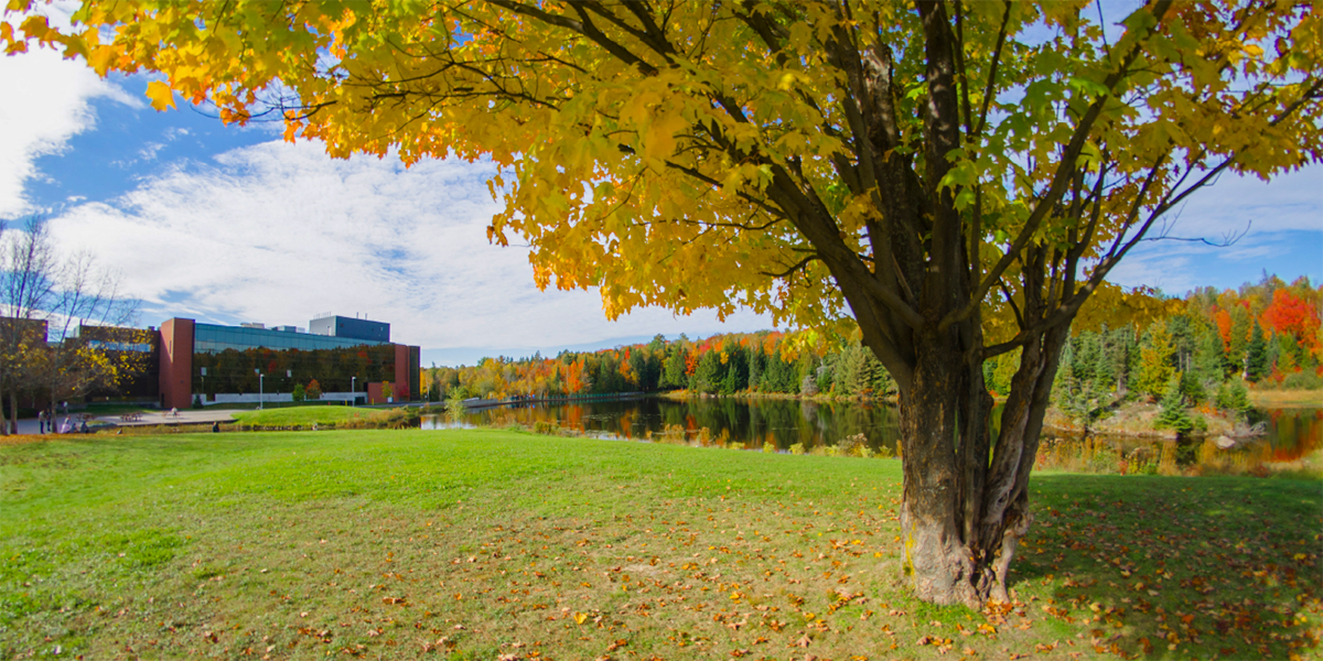 Fall Term Update