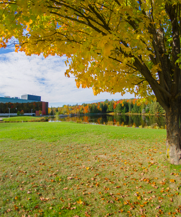Fall Term Update
