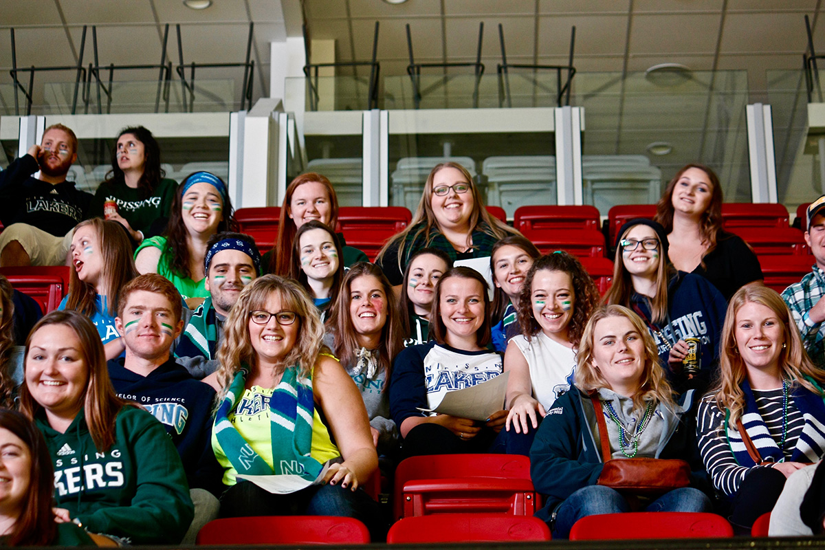 People at Hockey game