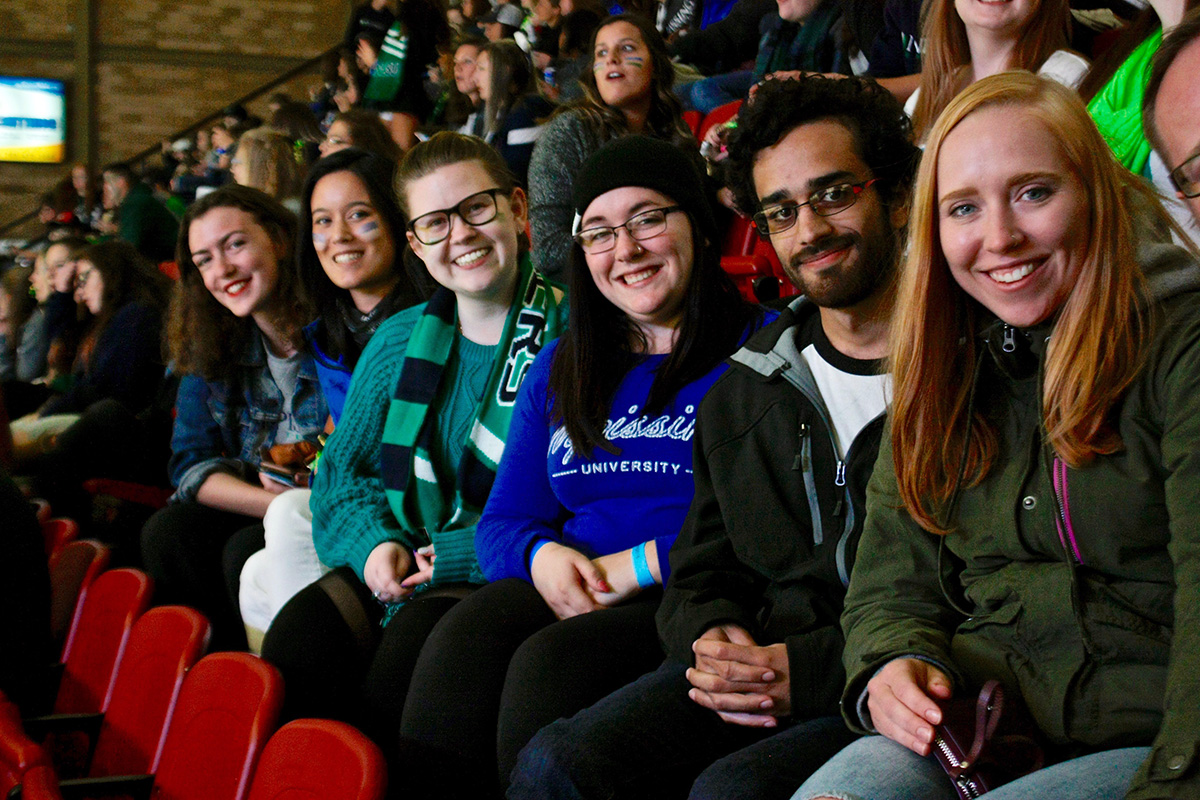 People at Hockey game