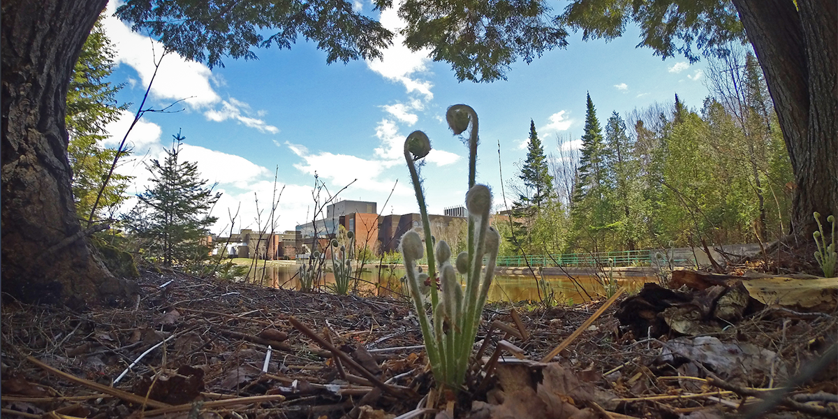 Spring is in the air at Nipissing University