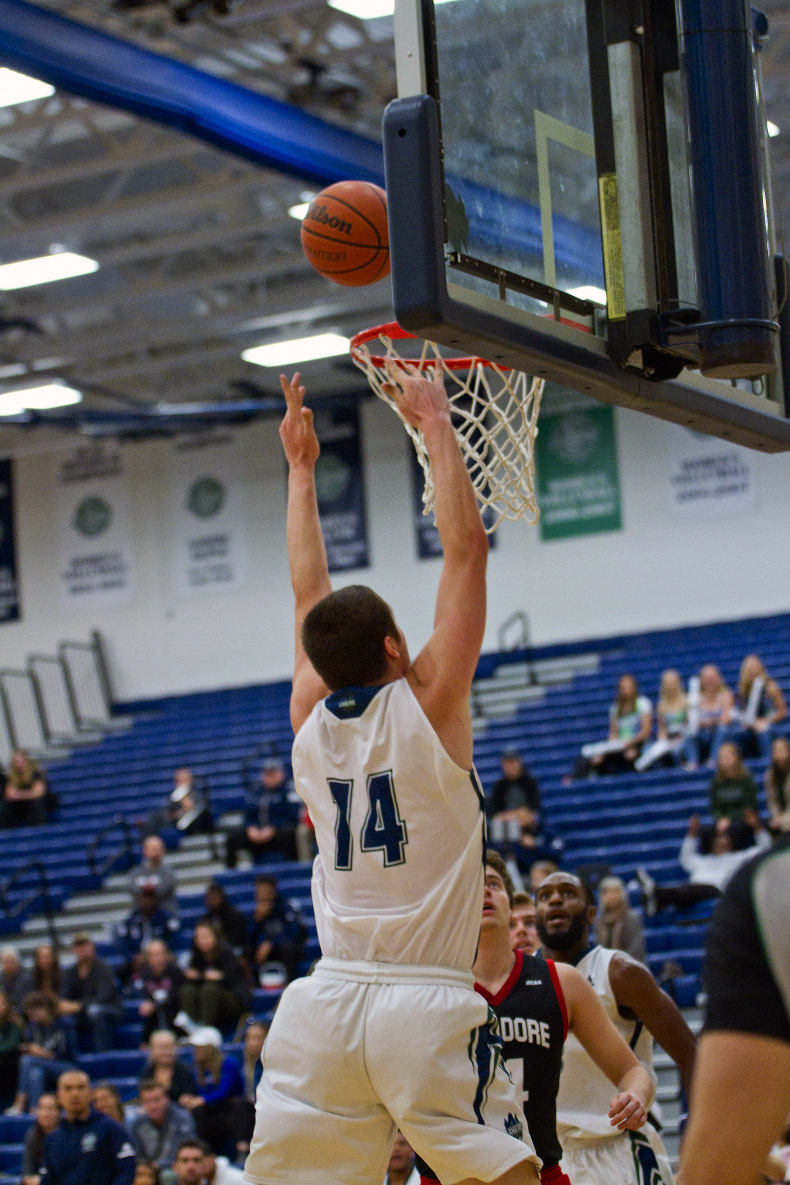 Homecoming 2018 basketball