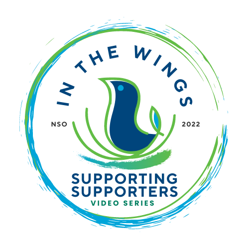 In the Wings supporting supporters video series logo