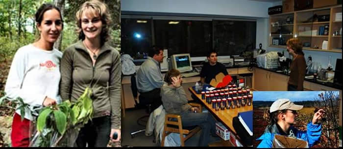 members of the Plant Ecology Research Lab