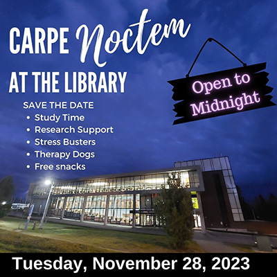 Carpe Noctem poster