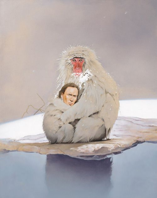 Nicholas Cage is the snow monkey baby being held by his snow monkey mother.