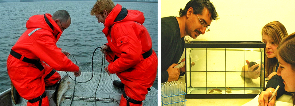 students conducting fish research
