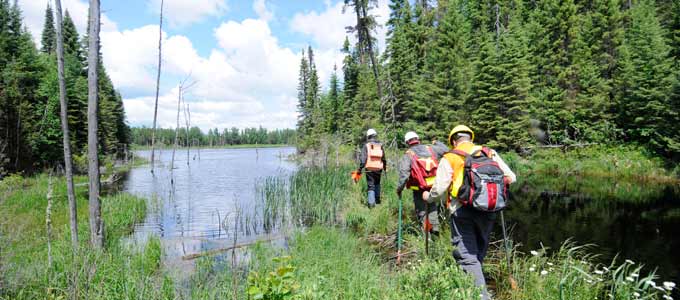 forest resources lab members walking by a beaver dam