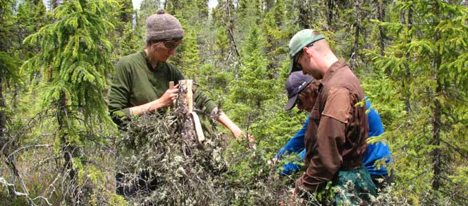 researchers collecting samples
