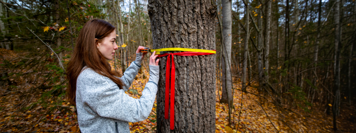 funded space 2026 web banner - grad student is taking tree measurements 