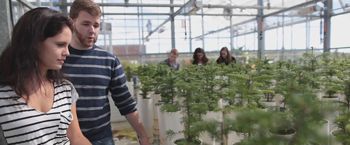 students in the greenhouse