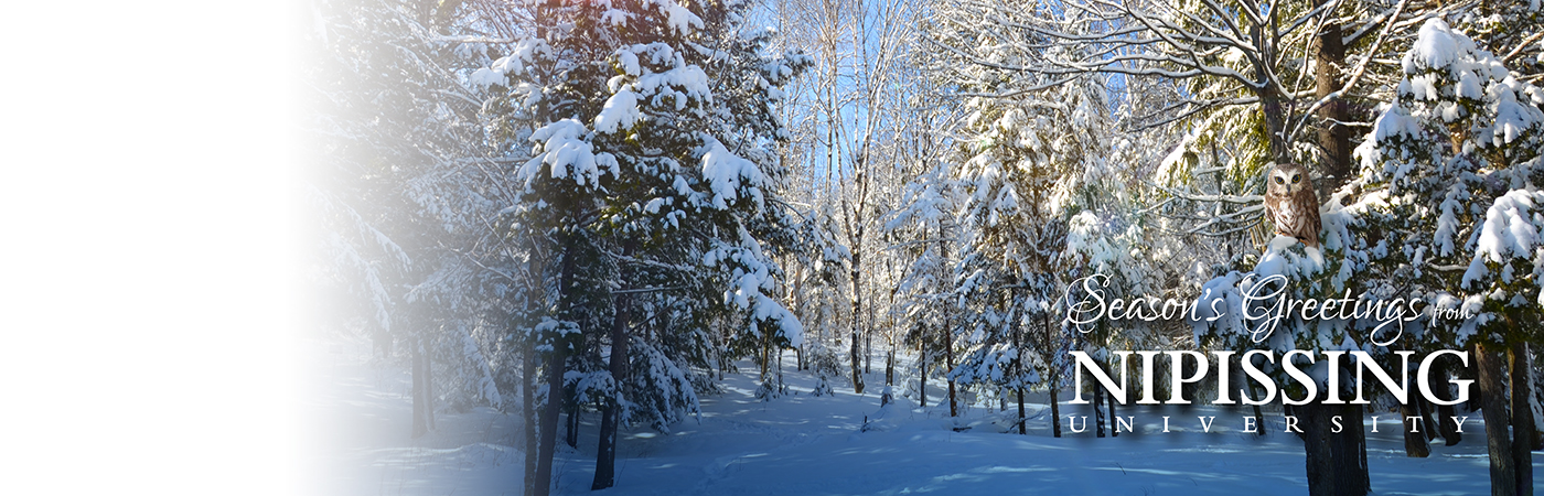 snow covered trees