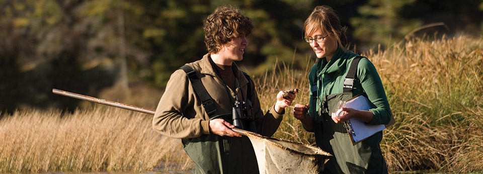 students taking samples in the pond
