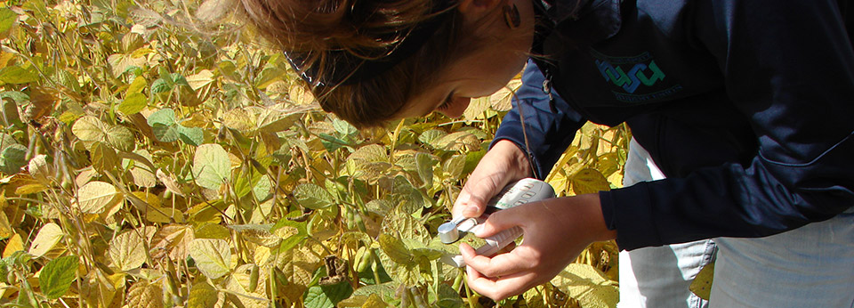 student taking readings in the field