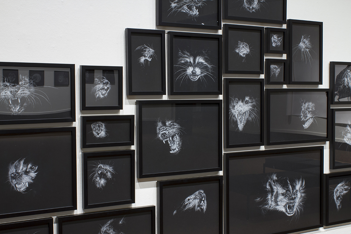 Amanda Burk gallery wall