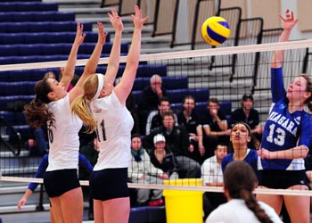 Photo of Lakers women's volleyball game