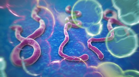 Photo of magnified ebola