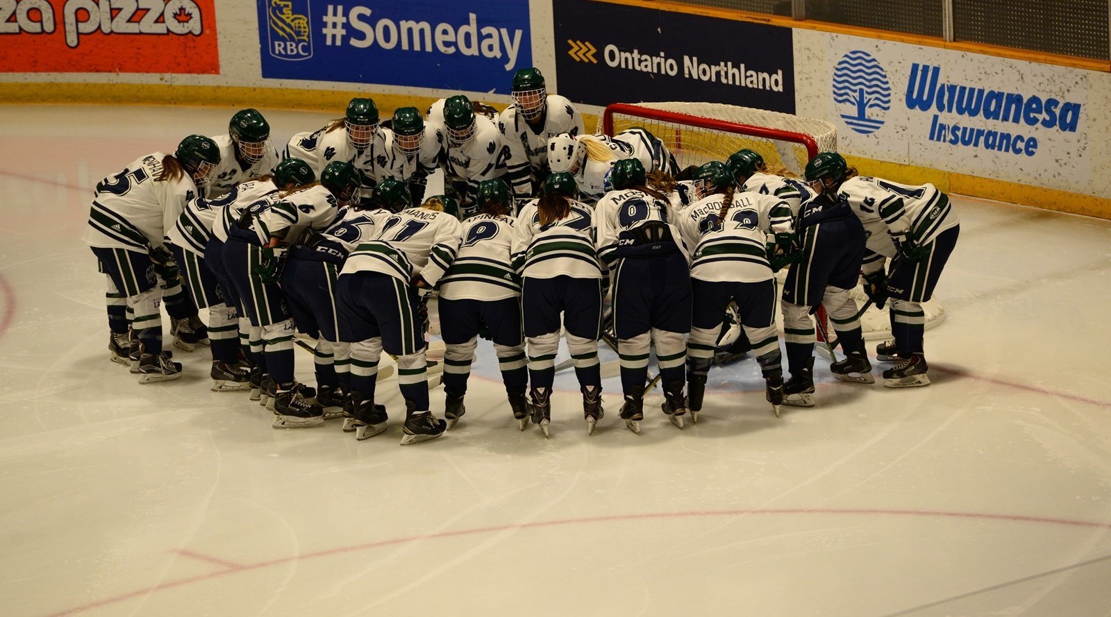 Women's Hockey vs Windsor