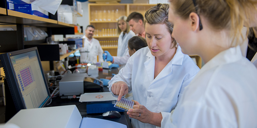 Explore our programs