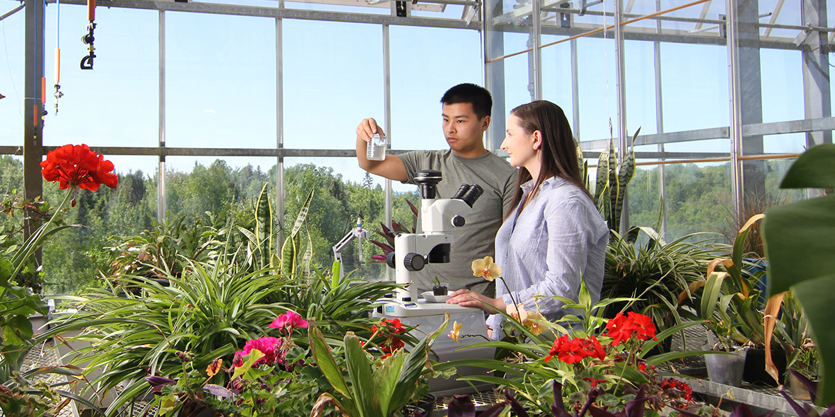 research in greenhouse