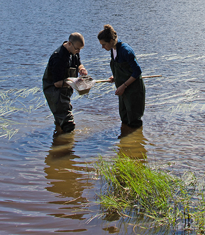 examining pond biology