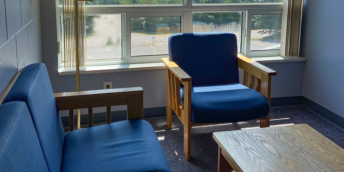 living room chair and window