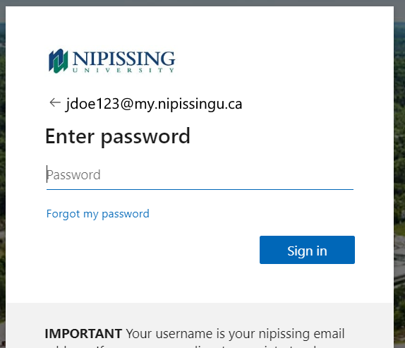 SSO Password screen