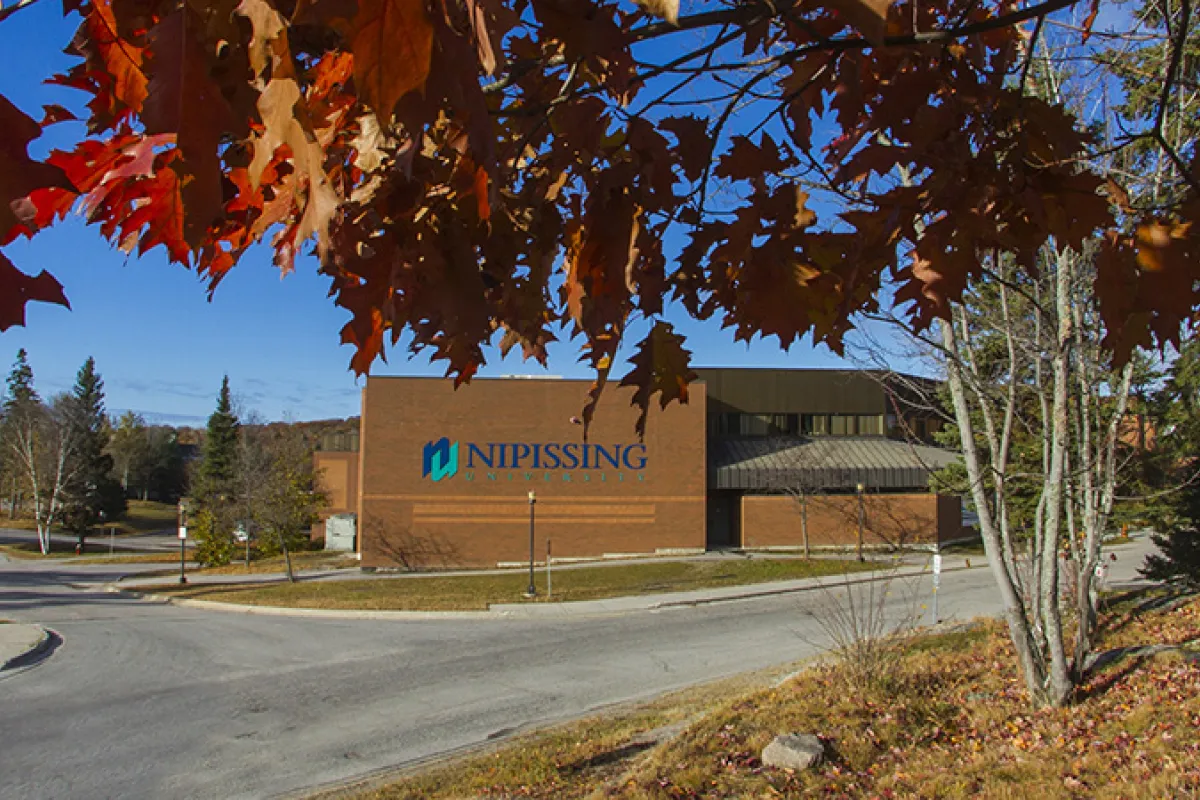 Fall colours on campus