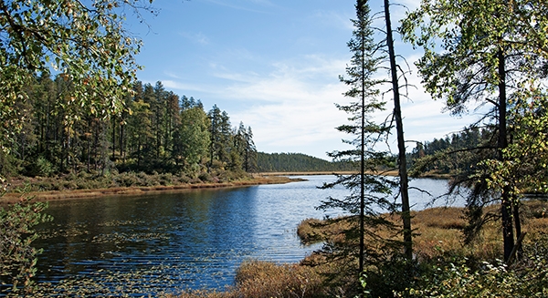 northern Ontario lake stock image