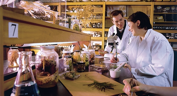 Drosophilia Laboratory