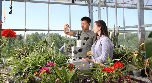 2 people looking at a sample from the microscope in the greenhouse surrounded by plants