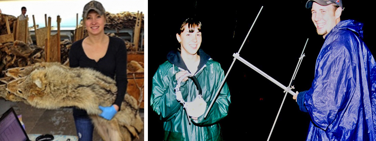 wildlife ecology researchers