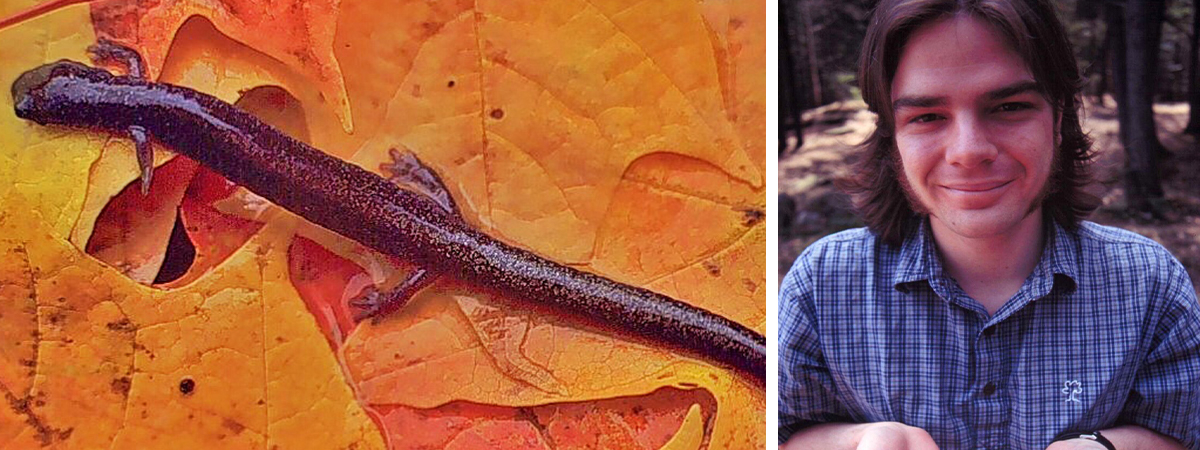 student studying salamanders