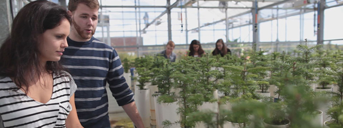 students in the greenhouse