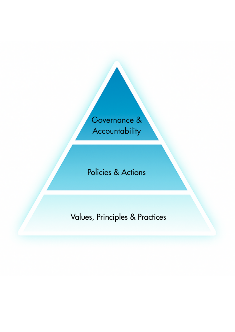 a pyramid showing the headings below