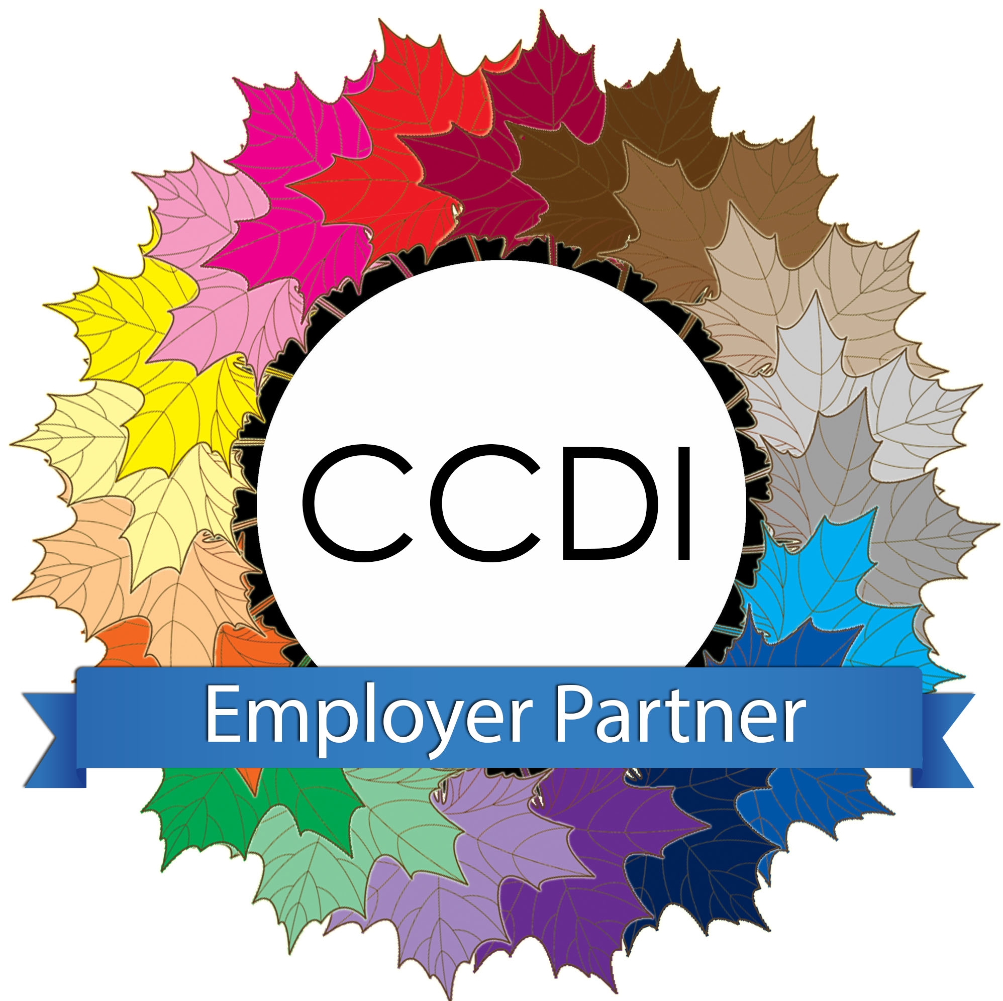 Multi Coloured maple leaf's surrounding the words CCDI.