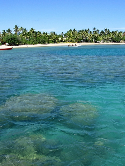 Fiji beach and water