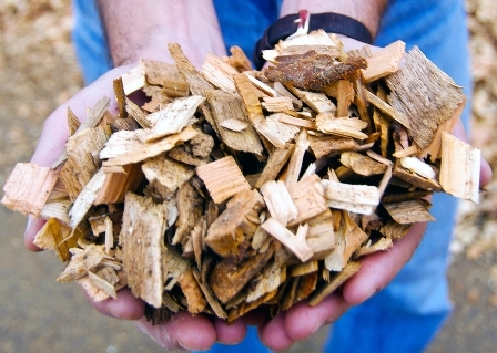 Photo of hands holding wood chips