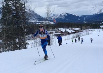 Photo of Nordic skiers