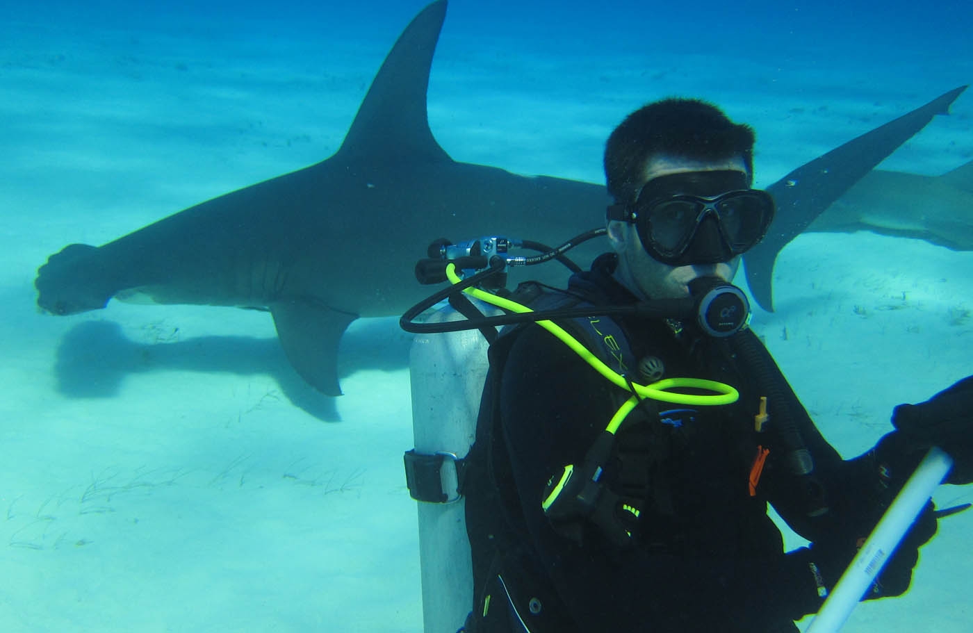 Photo of scuba diver underwater with a shark
