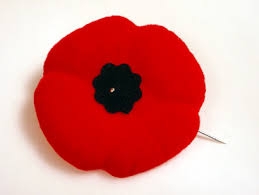 Photo of a poppy