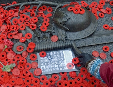 Photo of poppies and war paraphenalia